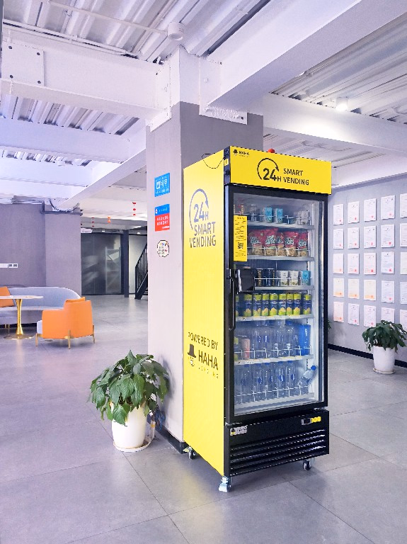 HaHa Smart COMBO DC-542D-US